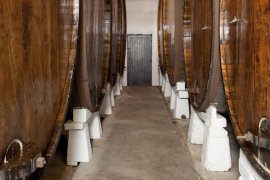 Cider House Bereziartua