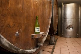 Cider House Elorrabi