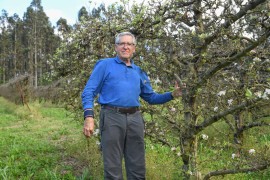 Cider House Etxebarria