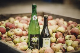 Cider House Trebiñu
