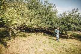 Cider House Martintxonea