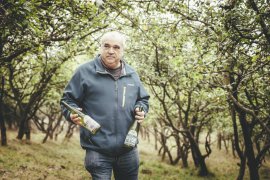 Cider House Larraldea