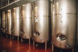 Cider House Toki Alai