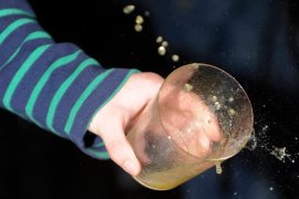 Cider House Akarregi