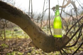 Cider House Begiristain