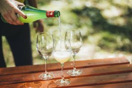 Cider House Isastegi