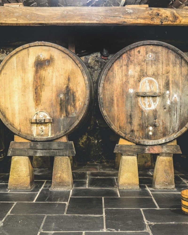 KAYAK EN EL RÍO ORIA KAYAK EN EL RÍO ORIA