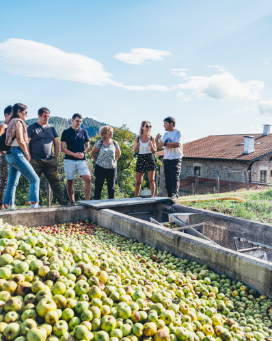 GUIDED TOUR WITH MEAL IN OIHARTE CIDER HOUSE