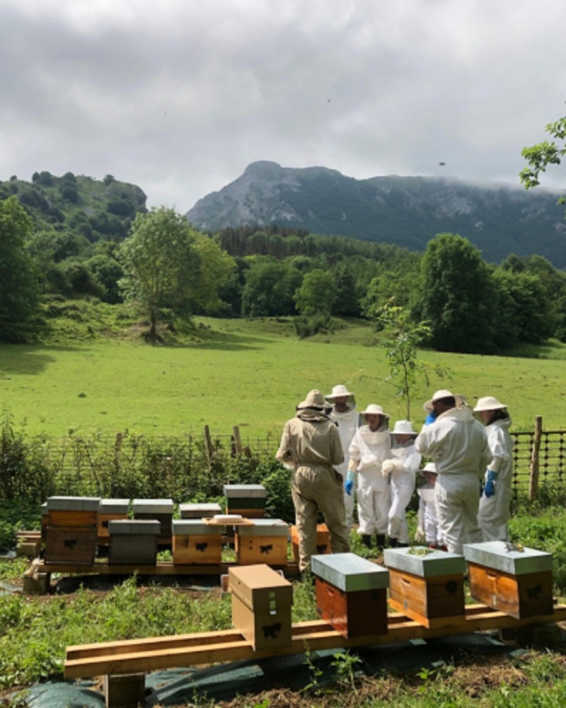 BEEKEEPING, FARMER’S MARKET AND CIDER CELLAR