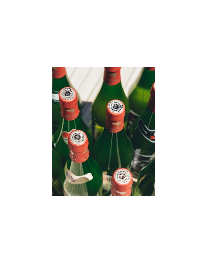 BEEKEEPING, FARMER’S MARKET AND CIDER CELLAR