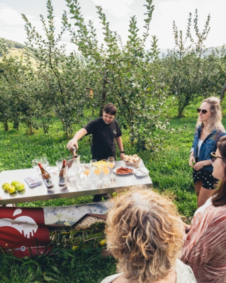 GUIDED TOUR WITH MEAL IN OIHARTE CIDER HOUSE GUIDED TOUR WITH MEAL IN OIHARTE CIDER HOUSE