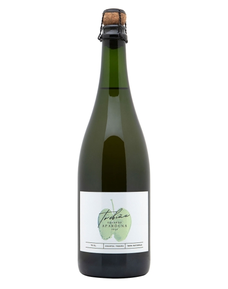 Acheter Cidre pétillant Treviño | Sagardoa Route