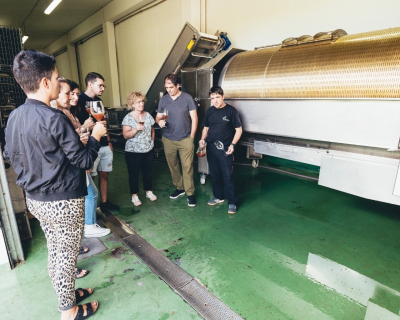 BISITA ETA BAZKARIA OIHARTE SAGARDOTEGIAN