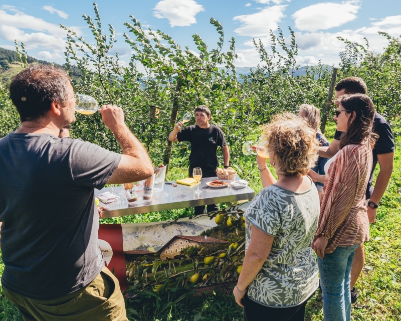 VISITA Y COMIDA EN LA SIDRERÍA OIHARTE