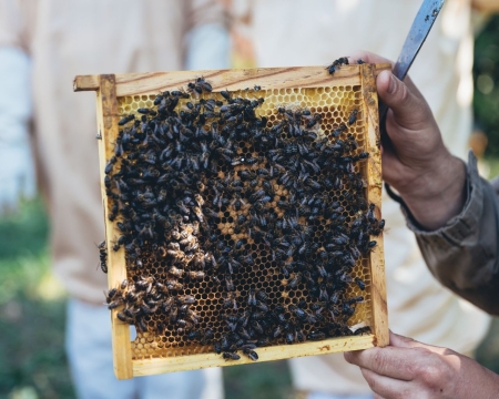Reservar apicultura, mercado de productores y bodega de sidra Reservar apicultura, mercado de productores y bodega de sidra