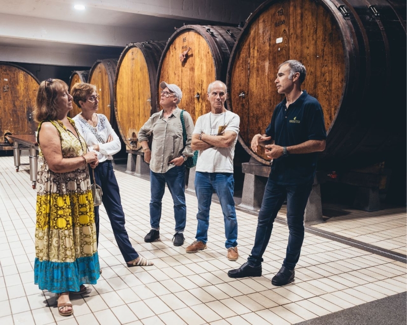 APICULTURE, MARCHÉ FERMIER ET CAVE À CIDRE