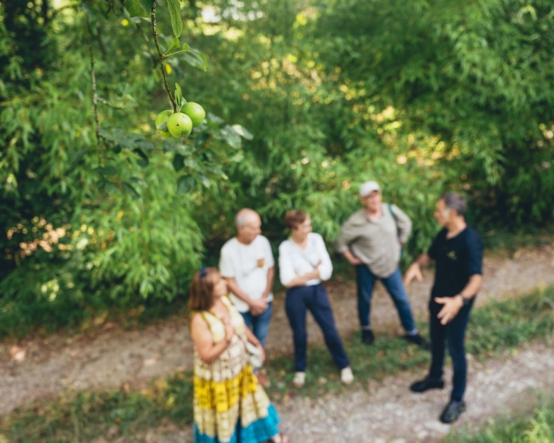 BEEKEEPING, FARMER’S MARKET AND CIDER CELLAR