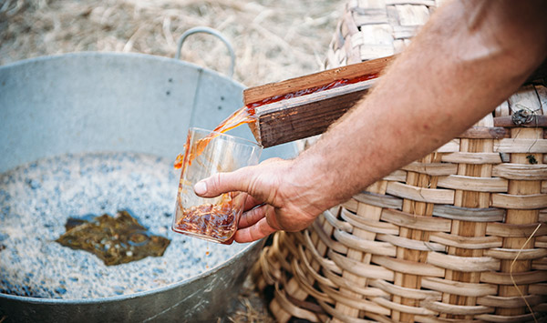 Moût et fermentation