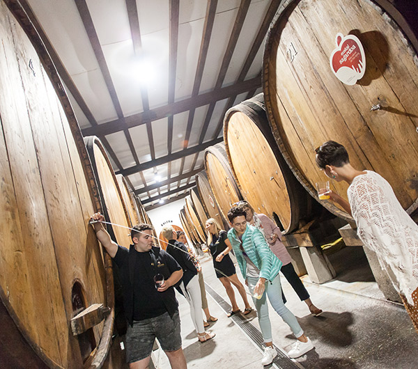 Le rituel du txotx et les cidreries tolares