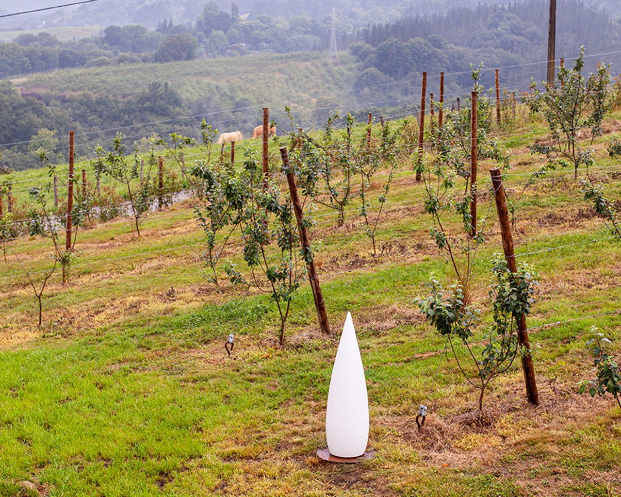 OLIVI 1948 - APARTAMENTO RURAL