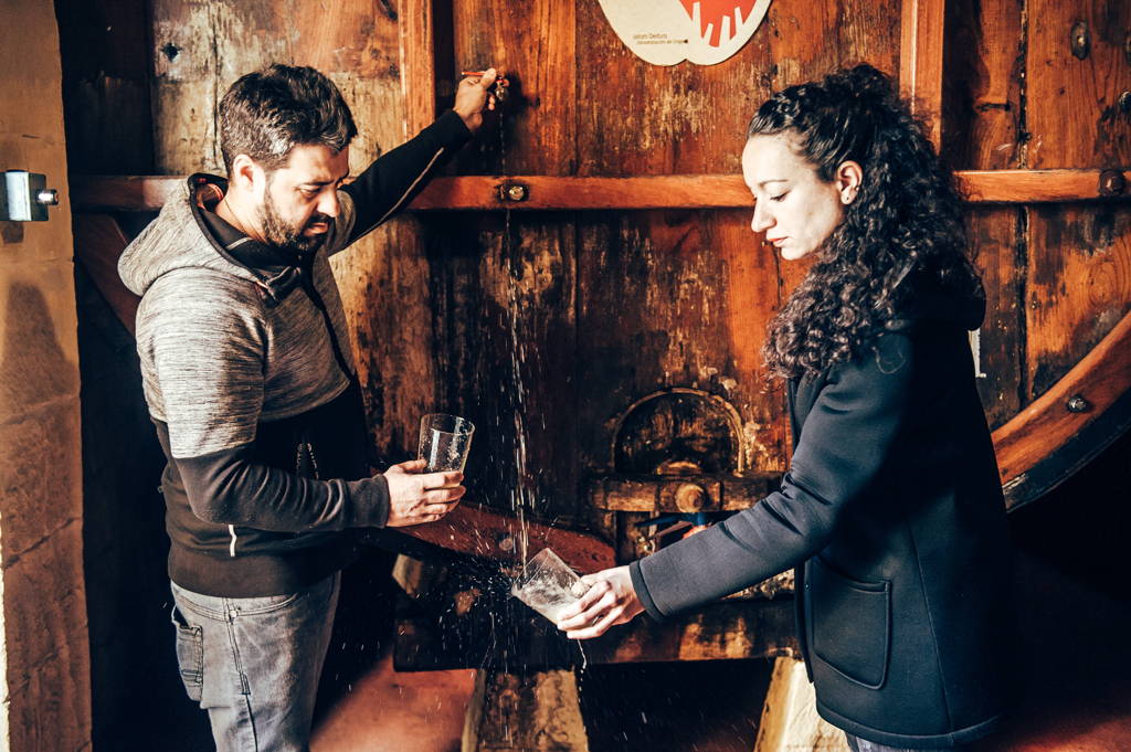 Petritegi