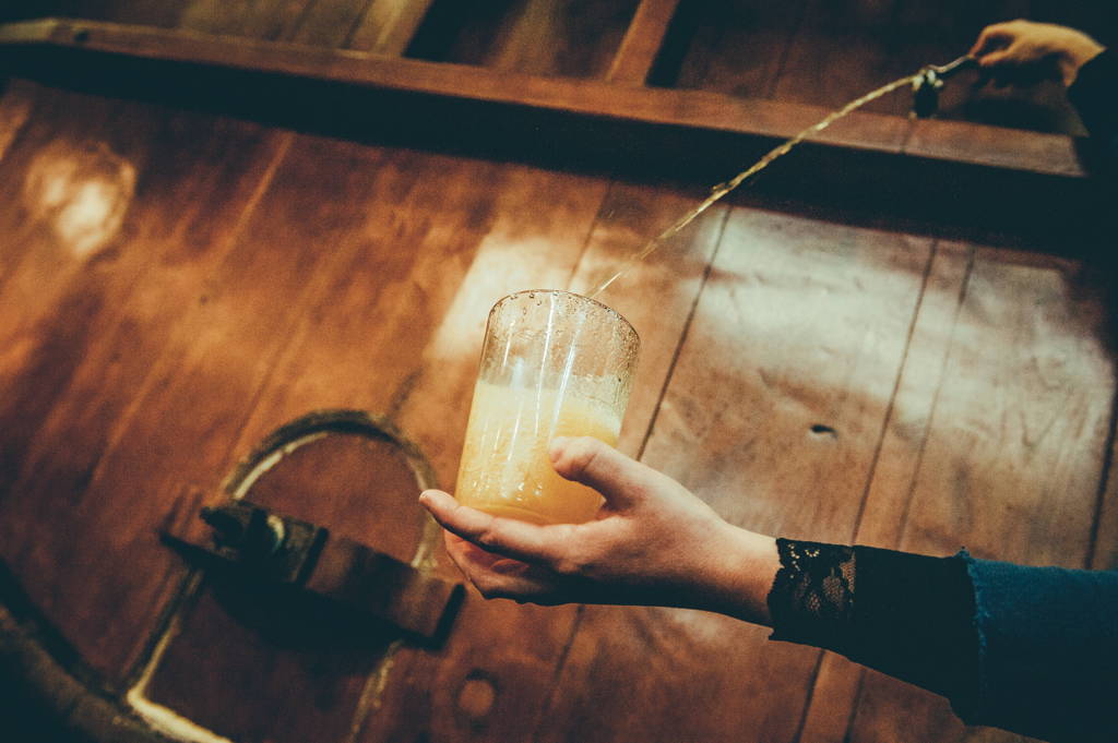 Irigoien Sagardotegia